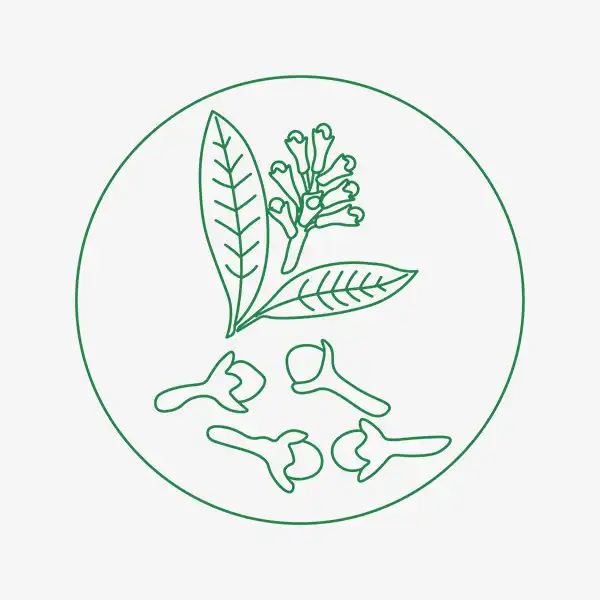 Cloves - Conventional