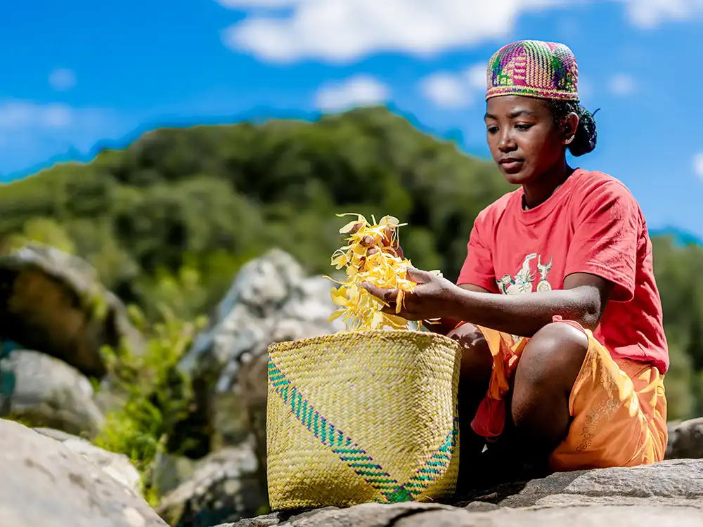 Longoza harvest Bionexx